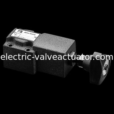 良い価格 DG.DT.Remote制御救助圧力制御弁のJeouの一団の圧力弁 オンライン