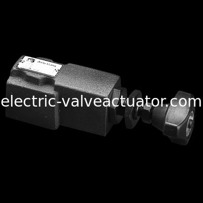 良い価格 DG.DT.Directのタイプ安全弁圧力制御弁 オンライン