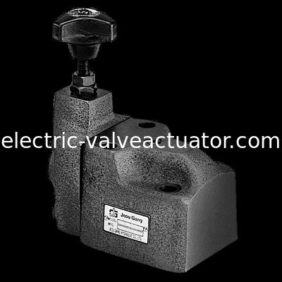 良い価格 Jeouの一団BGのsereisの操縦者は安全弁圧力制御弁BG-03 BG-06 BG-10を作動させました オンライン