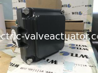 良い価格 TVH-E20GNPM TOPWORX エマーソンバルブモニター 硬質陽極酸化アルミニウムまたは316ステンレス鋼 オンライン