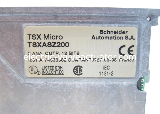 良い価格 シュナイダーエレクトリック TSXASZ200 TSX Micro 2 アナログ出力 +- 10 V 0-20 4-20 mA オンライン
