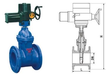 良い価格 RVEX 電気弾力性のある装着ゲート発電弁灰色鋳鉄 50-400 mm オンライン
